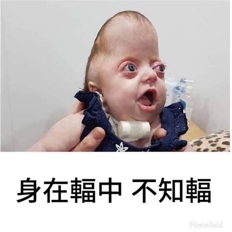 身在輻中不知輻 梗圖